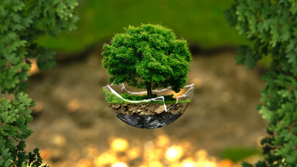 Tree in a Sphere